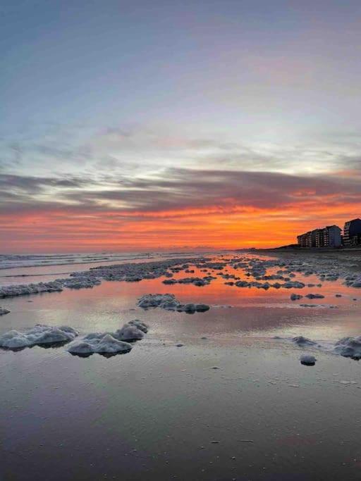 Face A La Mer, Appartement Rdc Bray Dunes Bagian luar foto