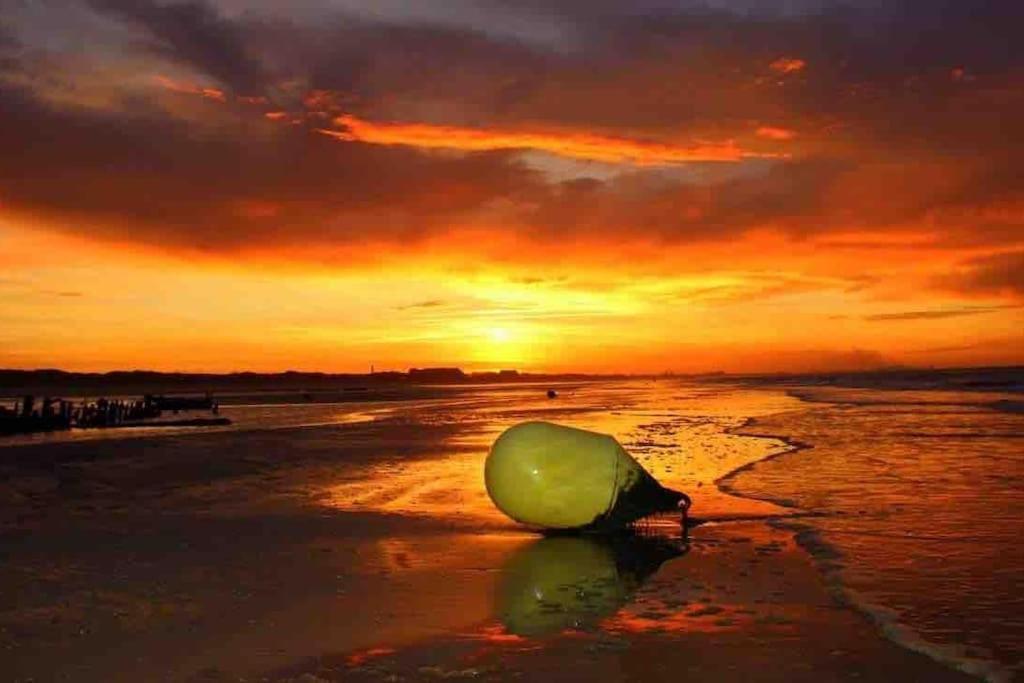 Face A La Mer, Appartement Rdc Bray Dunes Bagian luar foto
